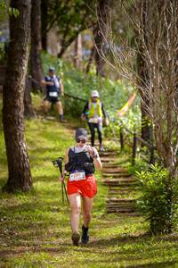 BIB: 5397
                            <button type="button" onclick="openModal(19239667)" class="btn btn-primary btn-sm float-right btn-popup" data-toggle="modal" data-target=".modal-high-quality">
                        <i class="fas fa-shopping-cart"></i> Add to Cart
                    </button>
                                            <button type="button" onclick="isThisMe(19239667, true)" class="btn btn-success btn-sm float-right btn-popup btn-isme hidden" data-toggle="tooltip" data-placement="bottom" title="นี่คือรูปของคุณใช่ไหม คลิกที่นี่เพื่อเอาเข้าอัลบั้ม">
                        <i class="fas fa-plus"></i> Add to album
                    </button>
                    <button type="button" onclick="isThisMe(19239667, false)" class="btn btn-warning btn-sm float-right btn-popup btn-isnotme hidden">
                        <i class="fas fa-ban"></i> Remove from album
                    </button>